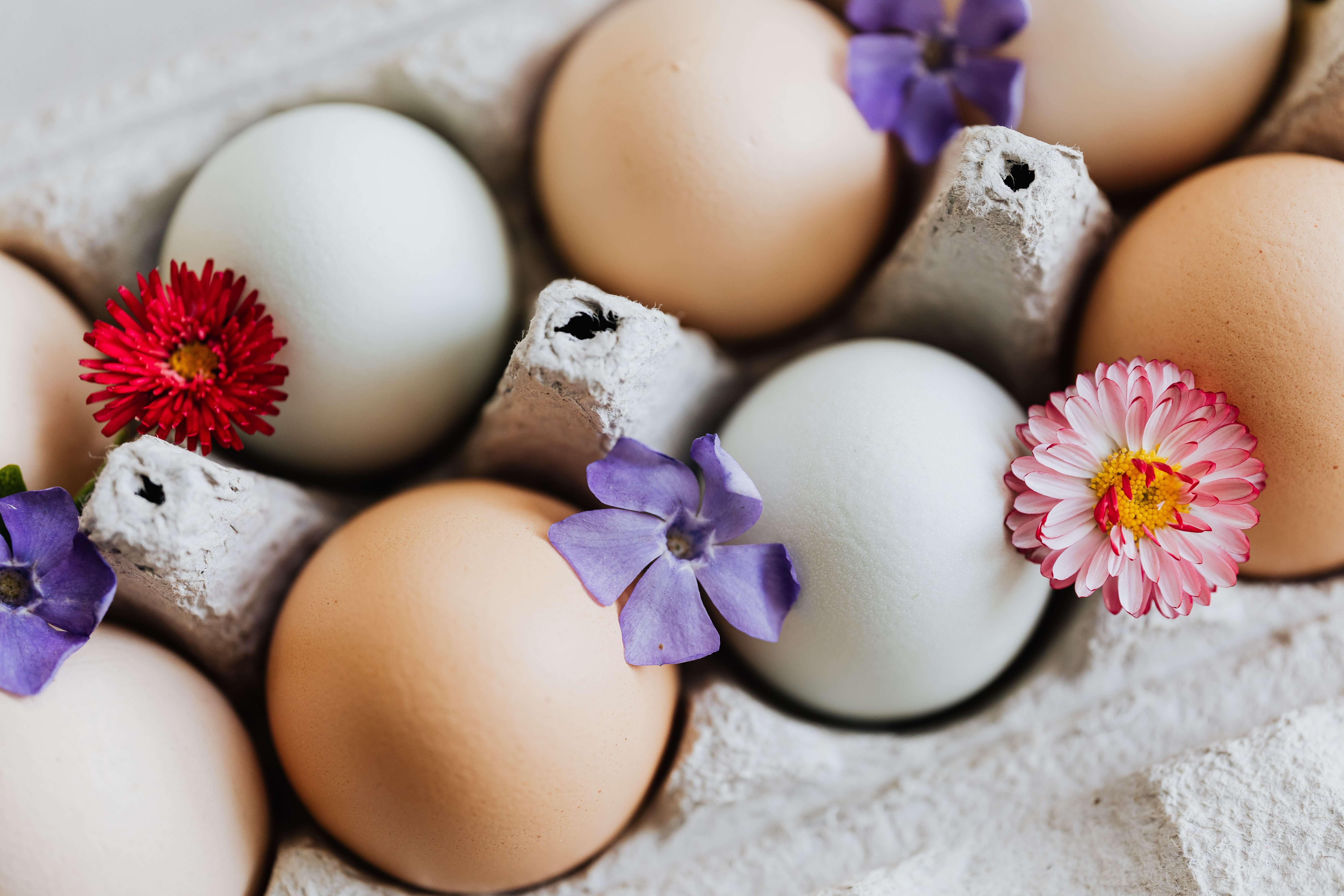 Elevate Your Dreams: Improving Egg Quality for Women Battling Low AMH Hormone